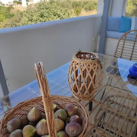 Summer Family House